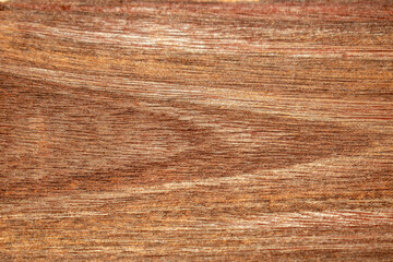 Natural Wood Texture. 