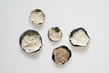 天日干して乾燥させた茄子です