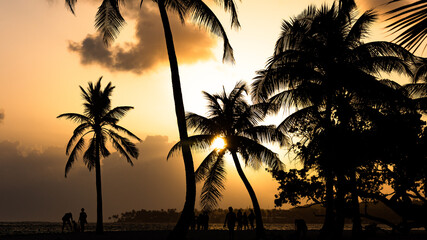 People enjoying sunset at Plage De Sainte-Anne , Guadeloupe, France - 405351708