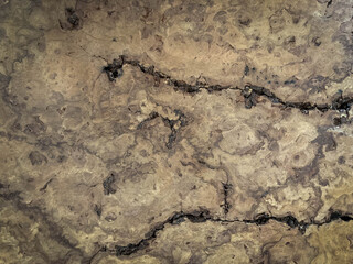 Old Hardwood texture and background
