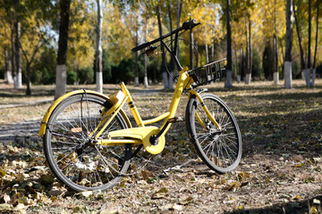 Fototapeta na wymiar Damaged shared bicycles in the wild