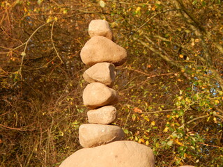 Fototapeta na wymiar stones in the forest