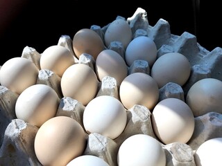 a full pack of white eggs, selective focus background
