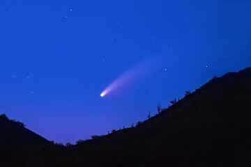 Fototapeta na wymiar Comet Neowise Screaming Down the Mountain