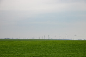 Green field, power lines and cloudy sky