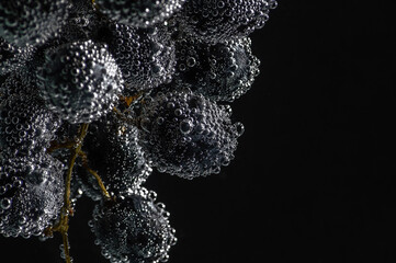 grapes in water in air bubbles on a black background