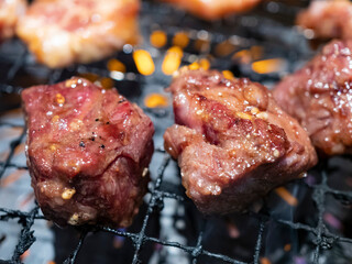 ロースターで焼くジューシーな和牛焼肉【ハラミ】