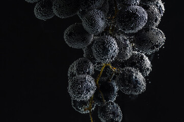 grapes in water in air bubbles on a black background