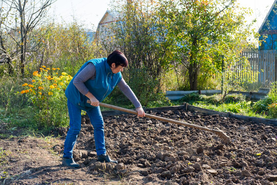 Farmer working in a garden. dig up the ground. Plant a crop. Sowing work. Spring work in the garden. Working with a rake. suburban everyday life. agricultural work with land