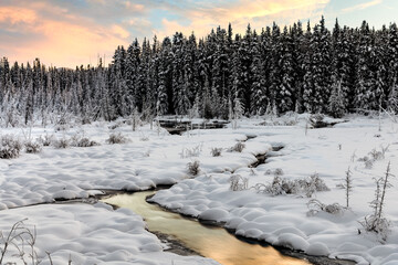 A stunning winter scene in Canada with a creek flowing through a snowy, snow covered winter boreal forest on a cloudy afternoon in January cold season.  Pink, beautiful sunset. 