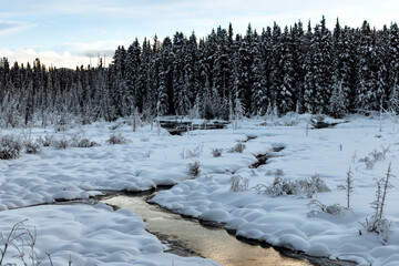 A stunning winter scene in Canada with a creek flowing through a snowy, snow covered winter boreal forest on a cloudy afternoon in January cold season. 
