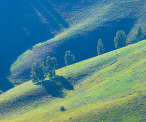 Green mountain slopes in summer