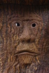 Face of a tree