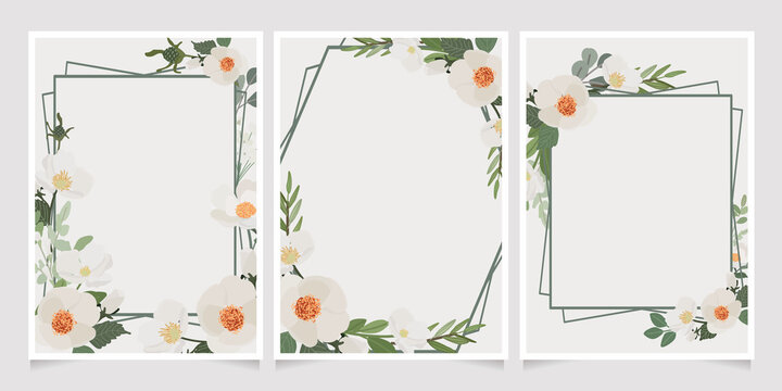 beautiful white camellia wreath frame wedding or birthday invitation card template collection