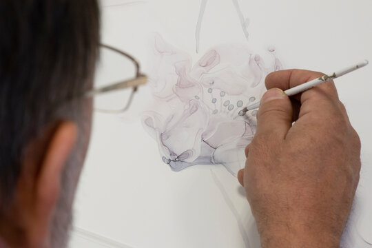 
A man draws a flower. Photo from the back.