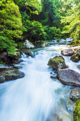 日本の美しい渓流