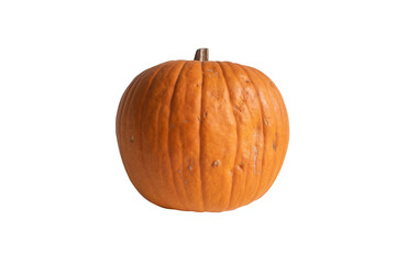 Orange textured pumpkin isolated on white background. Stock photo element