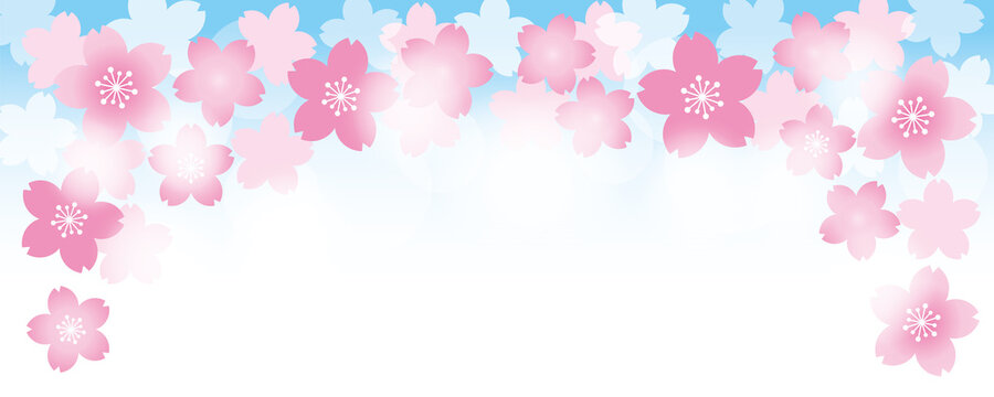 4 239 最適な 桜背景横 画像 ストック写真 ベクター Adobe Stock