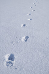 Footprint in the snow. Winter snow texture natural background