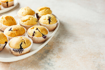 Homemade muffins with blueberries. Food background with copy space. Selective focus.