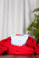 Piggy bank wrapped in red scarf