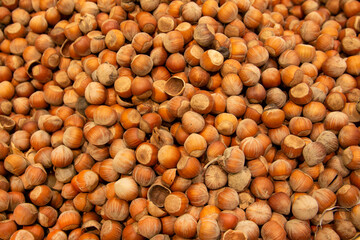 Forest nut background. Full and half of hazelnuts on white background top view. Isolated