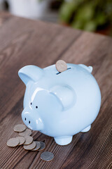 Piggy bank and dollar coins