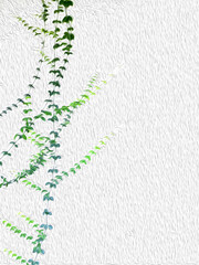 White wall and green leaves creeper plant oil painting background.Wallpaper design illustration.