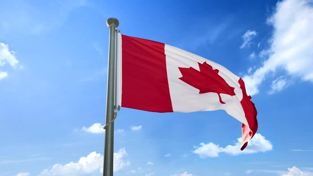 The flag of Canada is illuminated by the sun, waving in the wind and under the blue sky