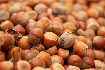 Forest nut background. Full and half of hazelnuts on white background top view. Isolated