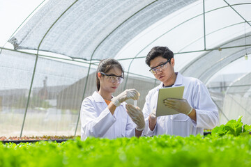 Scientists test the solution, Chemical inspection, Check freshness  at organic, hydroponic farm. © Charnchai saeheng