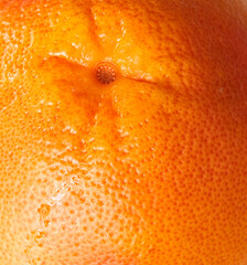 grapefruit lies on a black background