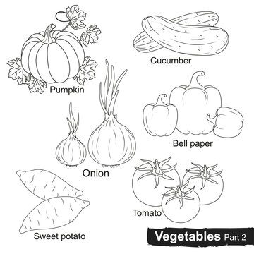 Vegetables line collection part 2