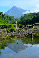 Merapi volcano with its reflection from small puddle