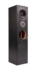 Broken audio speaker, done playing music