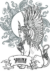 Sitting Sphinx. Ancient Greek mythical creature with beautiful woman torso lion body and eagle wings. decorative background. Black and white coloring book page. EPS10 vector illustration.