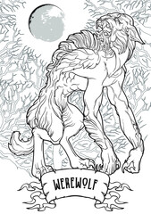 Werewolf in a forest. A legendary monster from european folklore tales. Black linear drawing isolated on a white background. Coloring book or tattoo design. EPS10 vector illustration.