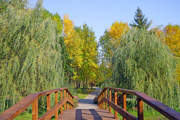 A small bridge over a pond in the park.