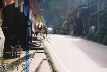 Rural path
