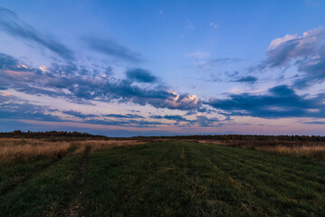 autumn evening landscape in a field with forest on the horizon