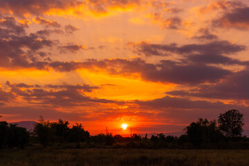 Summer field full of grass and sunset sky above. Beautiful sunset landscape.