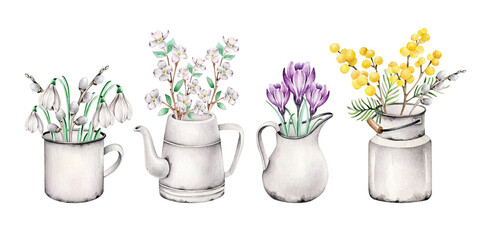 Fototapeta na wymiar Watercolor vase with flowers.Jug, can, mug, kettle with crocus,willow,snowdrop,mimosa,blooming apple branch.Composition with early spring flowers.Springtime