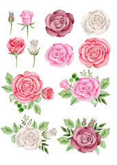 Set of roses/Watercolor roses composition