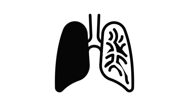 Human lungs icon animation best object on white background