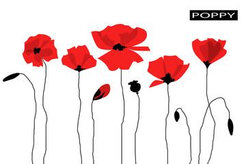 Abstract red poppy flowers. Isolated on white background. Flat cartoon style.