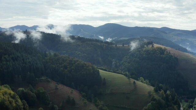 Black Forest near Schoenau, Black Forest, Germany