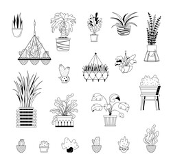 Vector illustation pot plants set, line art potted flowers. Hand drawn black line natural design elements isolated on white background. Trendy houseplants decor icons Palm tree monstera aloe succulent