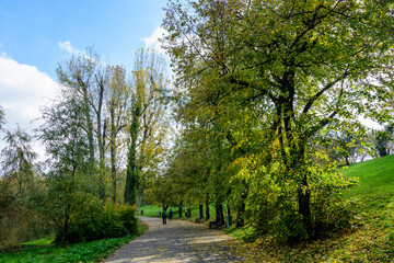 Landscape with alley with vivid green and yellow plants, plantan trees and grass in a sunny autumn day in Tineretului Park in Bucharest, Romania 