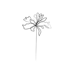 Flower One Line Drawing. Black Line Floral Sketch on White Background. Trendy Minimalist Vector Illustration for T-shirt, Slogan Design Print. Vector EPS 10.