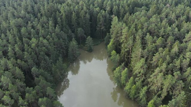 Lake in forest of the Franconian Heights, Ansbach, Bavaria, Germany